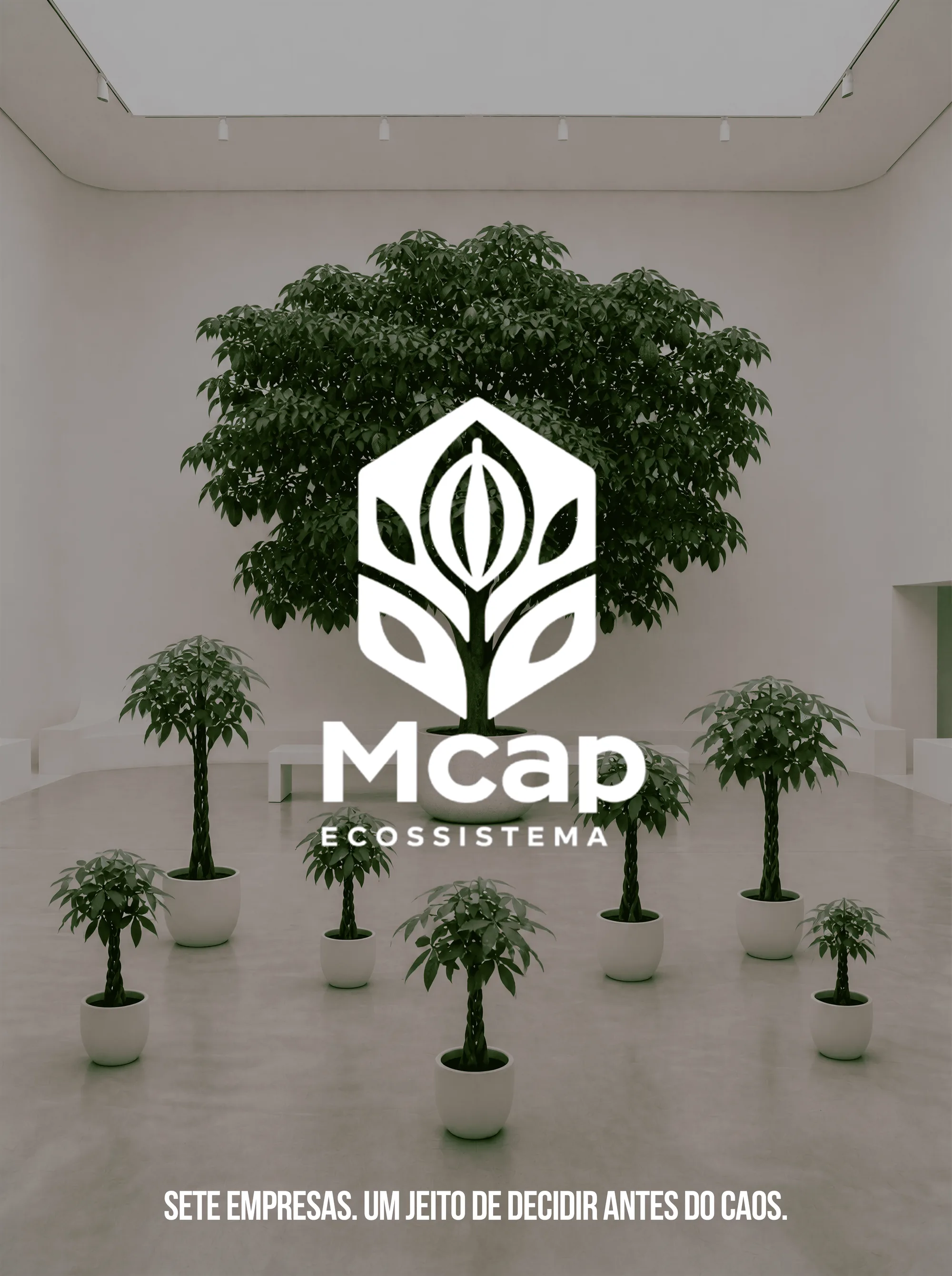 Ecossistema MCAP